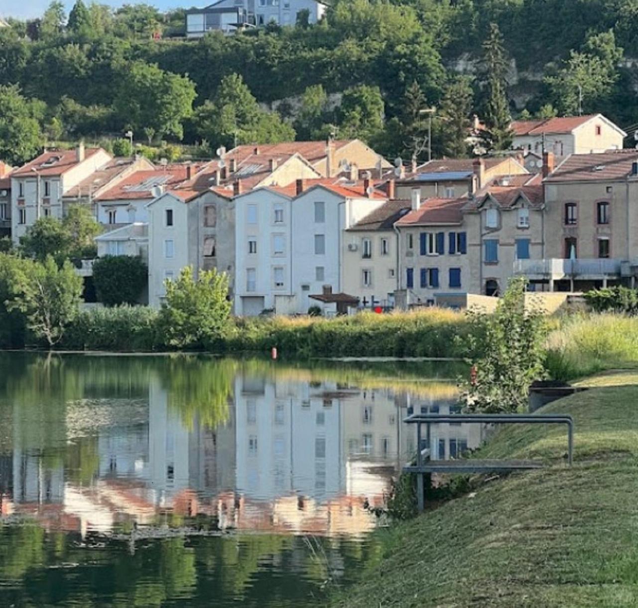 Jolie, Cozy, Confortable Maison De Ville Au Calme A 5Min Du Centre De Verdun, Parking Devant La Maison Belleville-Sur-Meuse Екстериор снимка